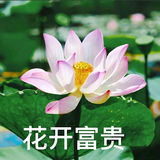 小刚刚车品头像