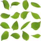 旭日东升.$头像