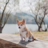 空腹吃饭不好头像