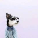 默默爱学习55145的个人资料头像