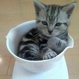 MoMaekっ头像