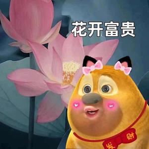 爱吃红鲤鱼的绿鲤鱼头像