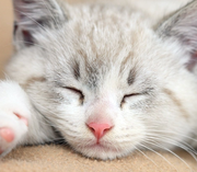 未央_y的个人资料头像