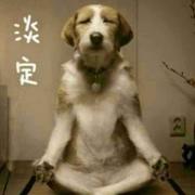 麻豆的个人资料头像