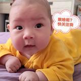 橙子爸爸的头条头像