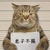 李Slma头像