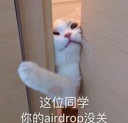 麦贝的个人资料头像