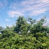 浪唔浪漫头像