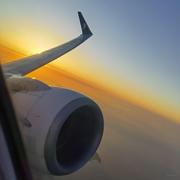 shybony的个人资料头像