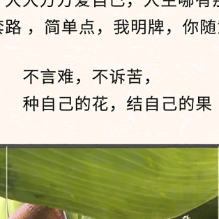 东莞市燚哲汽车科技头像