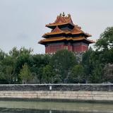 南家九哥头像