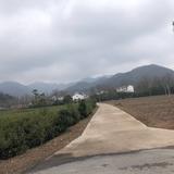 冷暖人生271头像