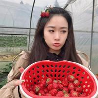 顽强葡萄Z头像