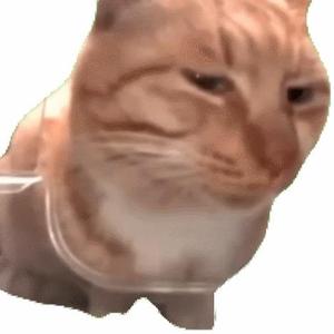 老景看事vlog头像