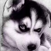 东旭Mason的个人资料头像