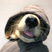 haciii的个人资料头像