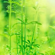 梦卍夕远的个人资料头像