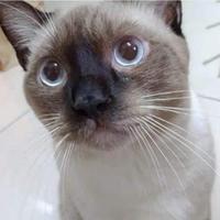海口银123头像