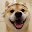 kakrot_的个人资料头像