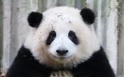 weisw的个人资料头像