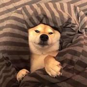 Drew的个人资料头像