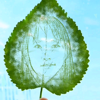 大章的撸车日记头像