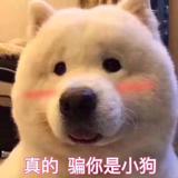 小海涛c头像