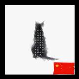 一只摸凹猫头像