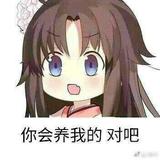 敏锐伊春9r3头像