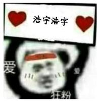 智勇双全沙滩g9i头像