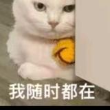 @އ꧔🐷🐷亮猪儿头像