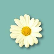 撒个欢儿的个人资料头像