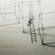 saifeiLee的个人资料头像