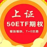 沙漠綠洲502头像