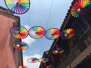 孑_愁的个人资料头像