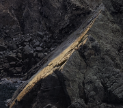 团子灬汤圆的个人资料头像