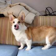 dong1iu的个人资料头像