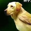 史莫等en头像