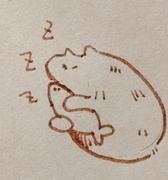 悄悄敲代码的鱼的个人资料头像