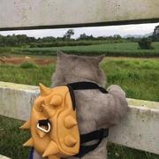 小余不完美的个人资料头像