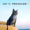 孔明在世头像