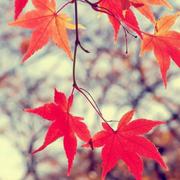 早睡早起倒霉蛋的个人资料头像