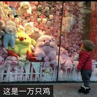 端木631头像