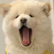 程序员小冯的个人资料头像