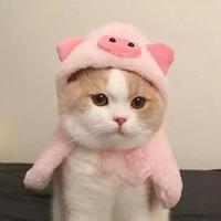 用户3118638052158542头像