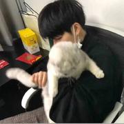 飞鹰四海的个人资料头像