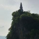 桑塔纳95555头像