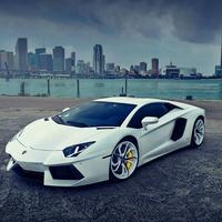 不会迷路的i7头像