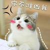 南宫晓竹头像