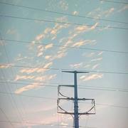 努力习惯阳光的鼹鼠的个人资料头像